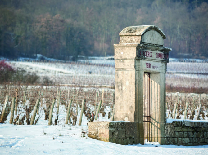 Bourgogne & Beaujolais