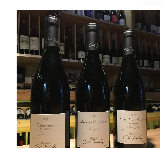 Protégé : Domaine Cécile Tremblay